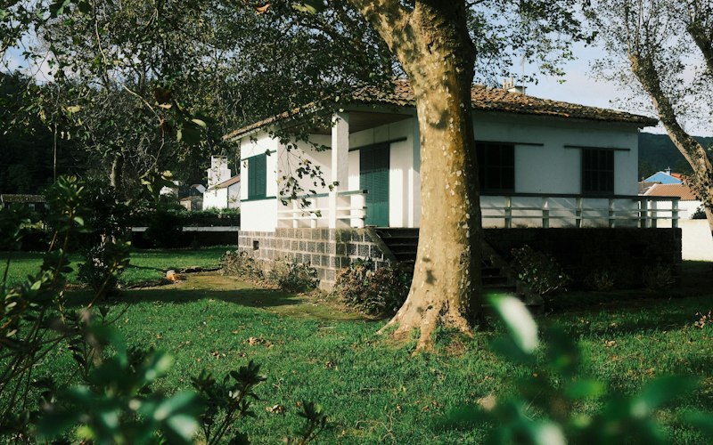 Small single-story cottage under a large mature tree, the canopy condition that pushes an ADU spec toward 6-inch gutters and micro-mesh guards