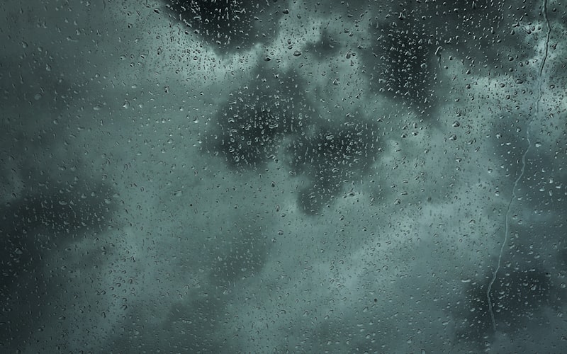 A person inspecting gutters from the ground after a storm, looking up at the roofline with water still dripping from the edges