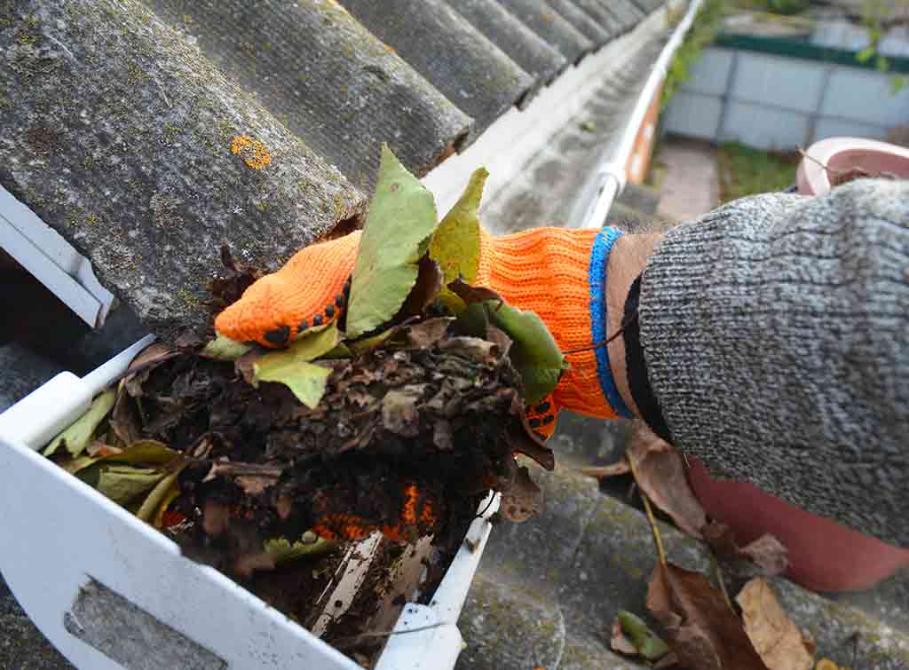 Professional Gutter Cleaning