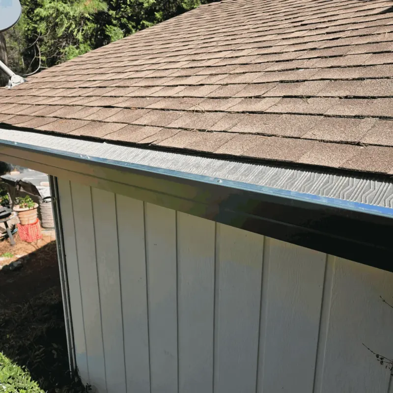 Black seamless gutter with micro-mesh guard above white board-and-batten siding