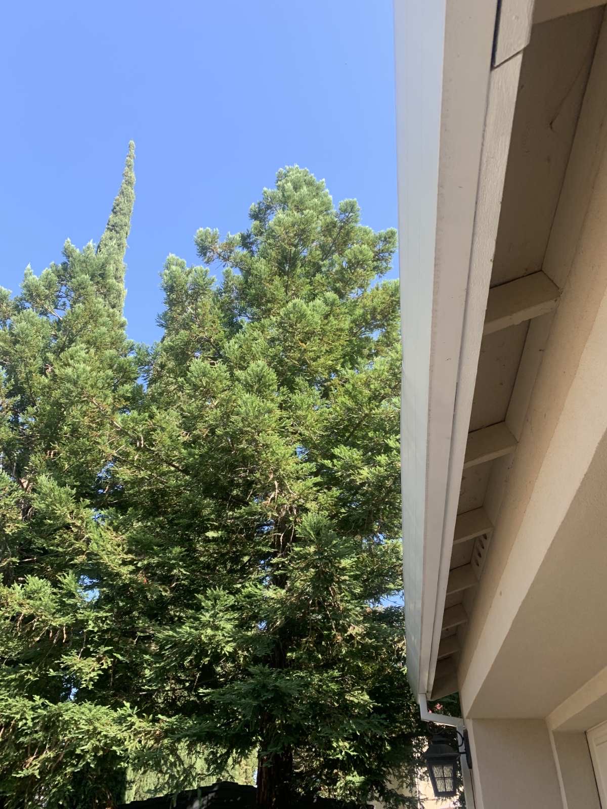 Rocklin Gutter Guard project 14 highlighting corner installation